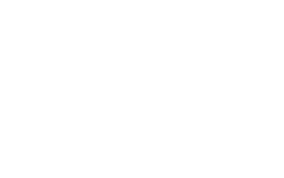 Leitsinn Kundenlogo MAXXfinance