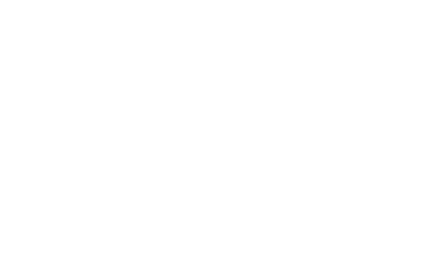 Kundenlogo Wagegeist GmbH