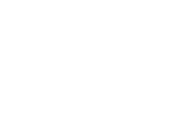 Leitsinn Kundenlogo Deichselberger Consulting